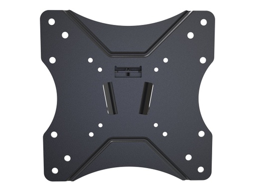 Fixation Vision VFM-W2X2T